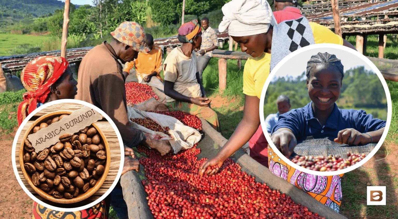 BurundiI Washed Businde